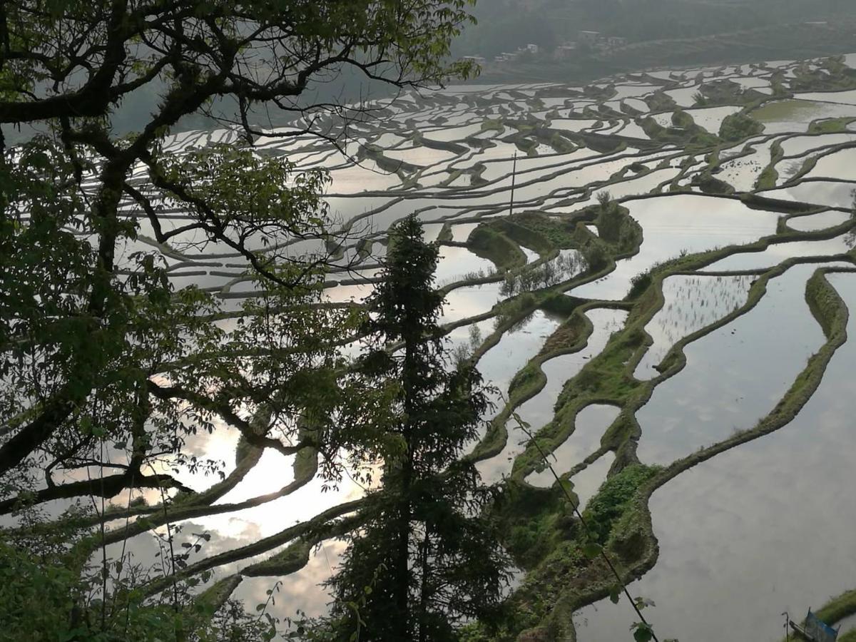 多依湾客栈havre De Paix Duoyiwan Yuanyang (Yunnan) Exterior foto