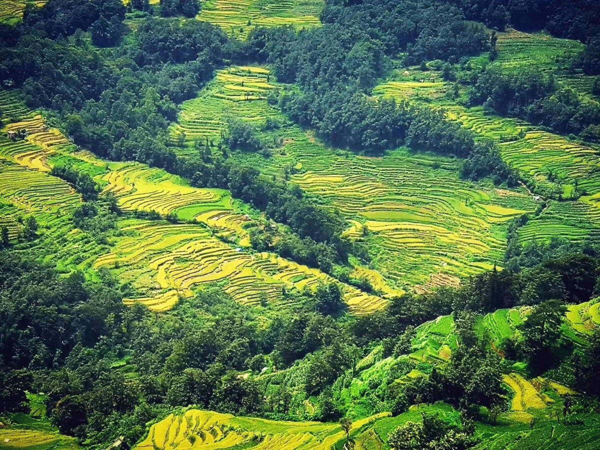 多依湾客栈havre De Paix Duoyiwan Yuanyang (Yunnan) Exterior foto